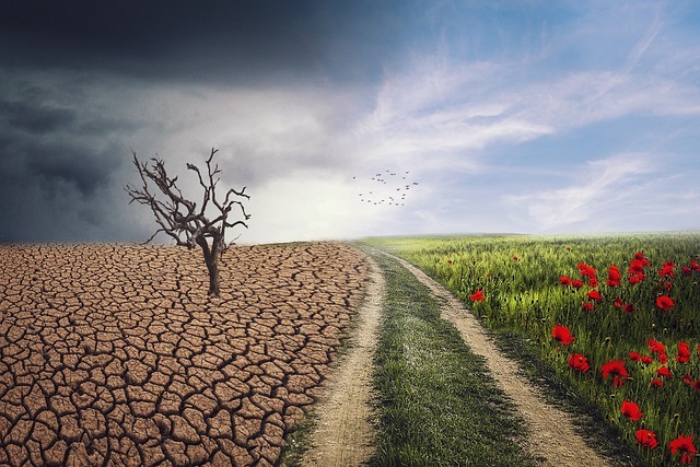 How to Navigate Organizational Change with Confidence