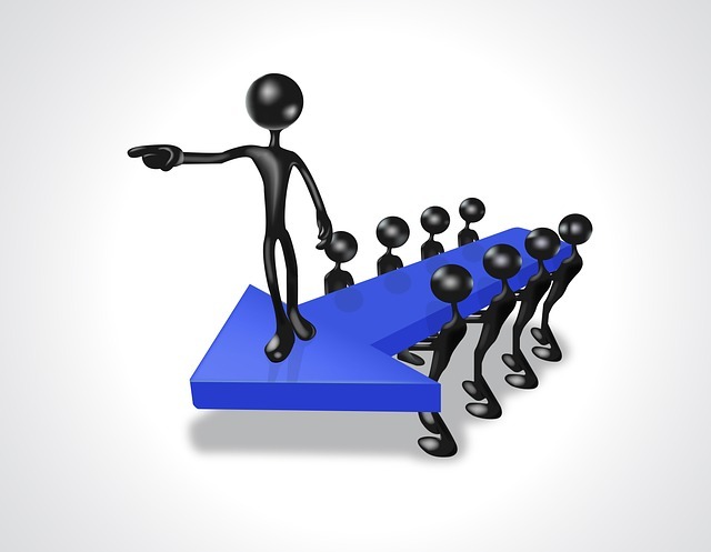 The Role of Leadership Development in Organizational Success